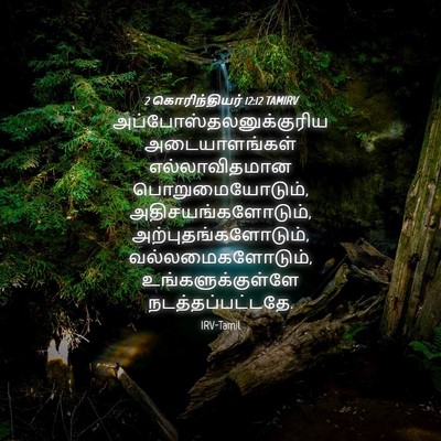 Picture 04 - 2 கொரிந்தியர் 12:12 TAMIRV -  - Bible Verse Picture