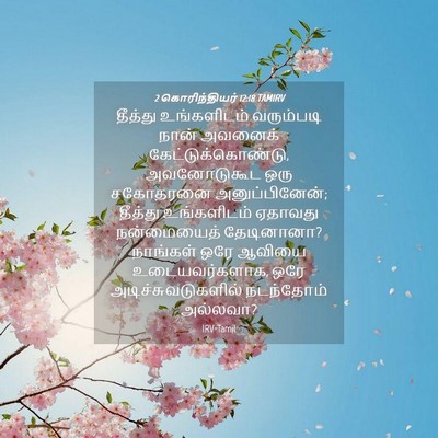 Picture 04 - 2 கொரிந்தியர் 12:18 TAMIRV - தீத்து உங்களிடம் - Bible Verse Picture