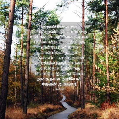 Picture 04 - 2 கொரிந்தியர் 12:2 TAMIRV -  - Bible Verse Picture