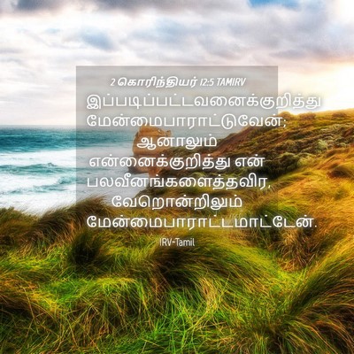Picture 04 - 2 கொரிந்தியர் 12:5 TAMIRV -  - Bible Verse Picture