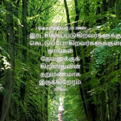 Picture 04 - 2 கொரிந்தியர் 2:15 TAMIRV -  - Bible Verse Picture