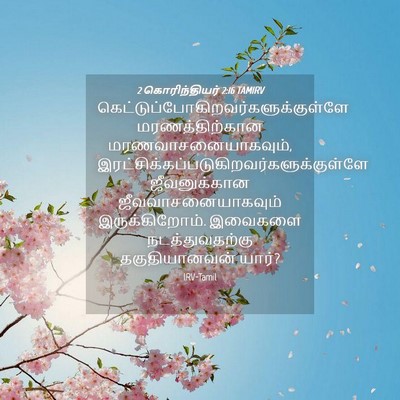 Picture 04 - 2 கொரிந்தியர் 2:16 TAMIRV -  - Bible Verse Picture