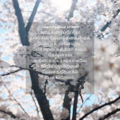 Picture 04 - 2 கொரிந்தியர் 2:17 TAMIRV - அநேகரைப்போல, - Bible Verse Picture