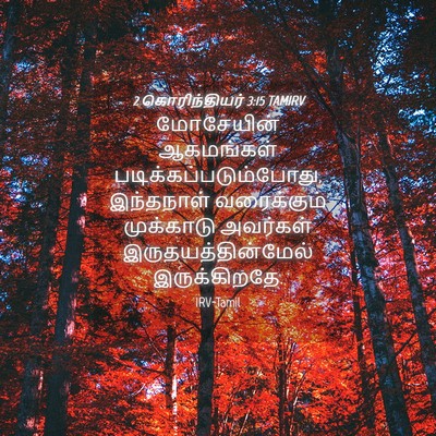 Picture 04 - 2 கொரிந்தியர் 3:15 TAMIRV - மோசேயின் ஆகமங்கள் - Bible Verse Picture