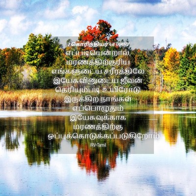 Picture 04 - 2 கொரிந்தியர் 4:11 TAMIRV - எப்படியென்றால், - Bible Verse Picture