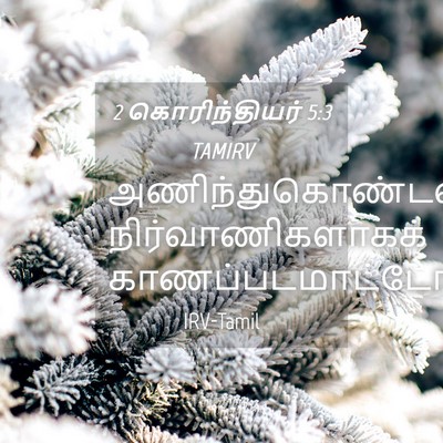 Picture 04 - 2 கொரிந்தியர் 5:3 TAMIRV -  - Bible Verse Picture