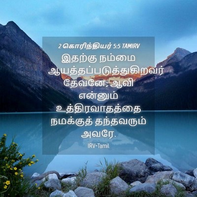 Picture 04 - 2 கொரிந்தியர் 5:5 TAMIRV - இதற்கு நம்மை - Bible Verse Picture