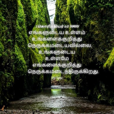 Picture 04 - 2 கொரிந்தியர் 6:12 TAMIRV - எங்களுடைய உள்ளம் - Bible Verse Picture