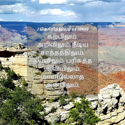 Picture 04 - 2 கொரிந்தியர் 6:6 TAMIRV - கற்பிலும், - Bible Verse Picture