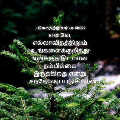 Picture 04 - 2 கொரிந்தியர் 7:16 TAMIRV - எனவே, - Bible Verse Picture