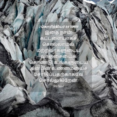 Picture 04 - 2 கொரிந்தியர் 8:8 TAMIRV - இதை நான் - Bible Verse Picture