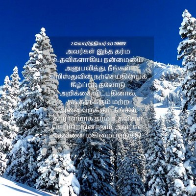 Picture 04 - 2 கொரிந்தியர் 9:13 TAMIRV - அவர்கள் இந்த தர்ம - Bible Verse Picture