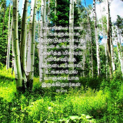 Picture 04 - 2 கொரிந்தியர் 9:14 TAMIRV - உங்களுக்காக - Bible Verse Picture