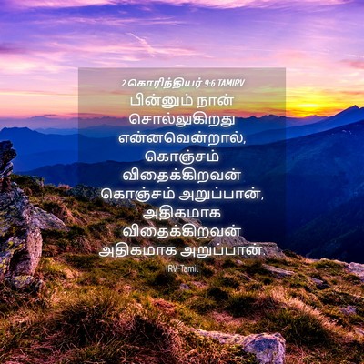 Picture 04 - 2 கொரிந்தியர் 9:6 TAMIRV - பின்னும் நான் - Bible Verse Picture