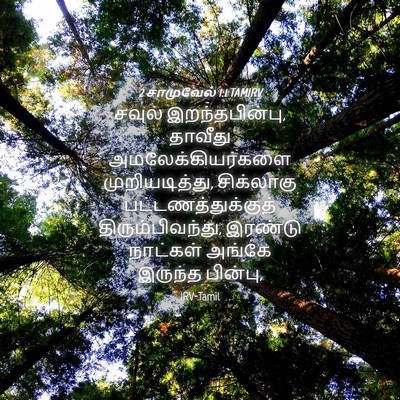 Picture 04 - 2 சாமுவேல் 1:1 TAMIRV - சவுல் - Bible Verse Picture