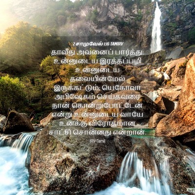 Picture 04 - 2 சாமுவேல் 1:16 TAMIRV - தாவீது அவனைப் - Bible Verse Picture