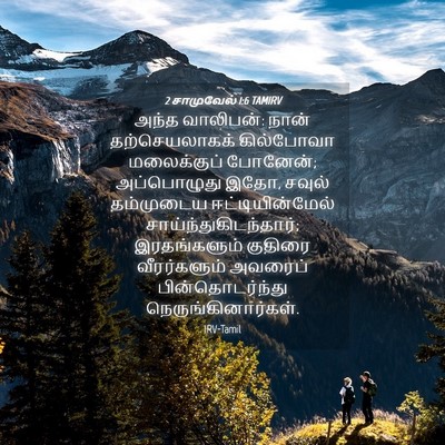 Picture 04 - 2 சாமுவேல் 1:6 TAMIRV - அந்த வாலிபன்: நான் - Bible Verse Picture