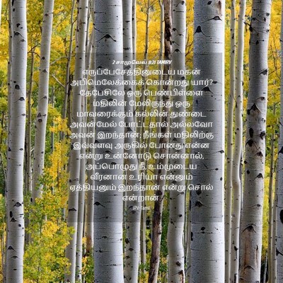Picture 04 - 2 சாமுவேல் 11:21 TAMIRV -  - Bible Verse Picture