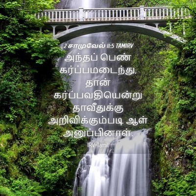 Picture 04 - 2 சாமுவேல் 11:5 TAMIRV - அந்தப் பெண் - Bible Verse Picture