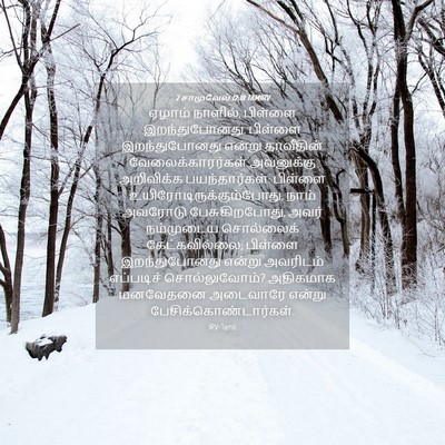 Picture 04 - 2 சாமுவேல் 12:18 TAMIRV - ஏழாம் நாளில், - Bible Verse Picture
