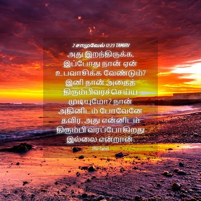 Picture 04 - 2 சாமுவேல் 12:23 TAMIRV - அது இறந்திருக்க, - Bible Verse Picture