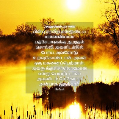 Picture 04 - 2 சாமுவேல் 12:24 TAMIRV - பின்பு தாவீது - Bible Verse Picture
