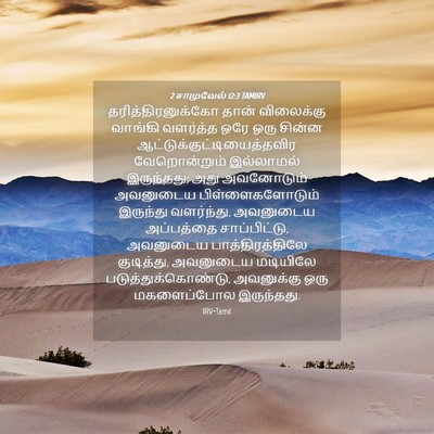 Picture 04 - 2 சாமுவேல் 12:3 TAMIRV - தரித்திரனுக்கோ - Bible Verse Picture