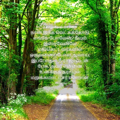 Picture 04 - 2 சாமுவேல் 13:13 TAMIRV - நான் இந்த - Bible Verse Picture