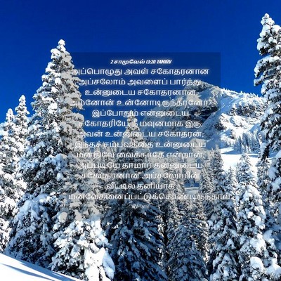 Picture 04 - 2 சாமுவேல் 13:20 TAMIRV - அப்பொழுது அவள் - Bible Verse Picture