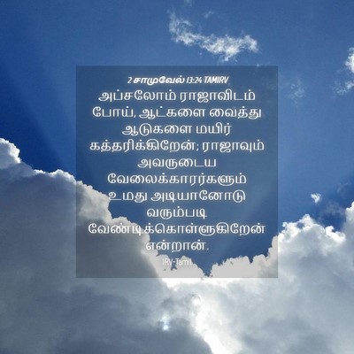Picture 04 - 2 சாமுவேல் 13:24 TAMIRV - அப்சலோம் - Bible Verse Picture