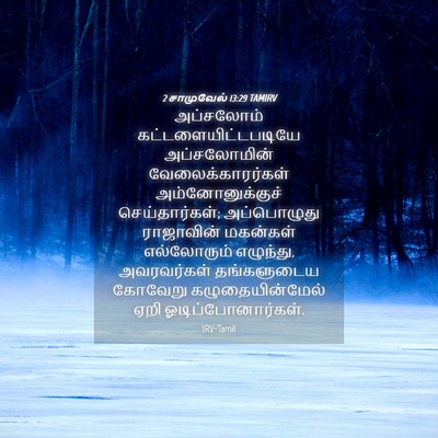 Picture 04 - 2 சாமுவேல் 13:29 TAMIRV - அப்சலோம் - Bible Verse Picture