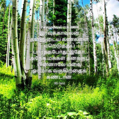 Picture 04 - 2 சாமுவேல் 13:34 TAMIRV - இரவுக்காவலன் - Bible Verse Picture