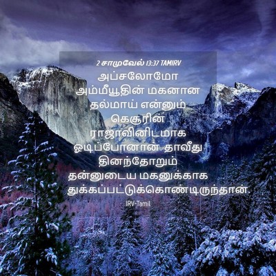 Picture 04 - 2 சாமுவேல் 13:37 TAMIRV - அப்சலோமோ - Bible Verse Picture