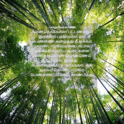 Picture 04 - 2 சாமுவேல் 14:2 TAMIRV - அவன் தெக்கோவா - Bible Verse Picture
