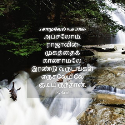 Picture 04 - 2 சாமுவேல் 14:28 TAMIRV - அப்சலோம், - Bible Verse Picture