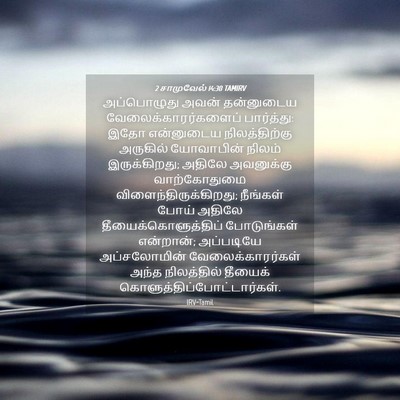 Picture 04 - 2 சாமுவேல் 14:30 TAMIRV - அப்பொழுது அவன் - Bible Verse Picture
