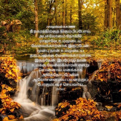 Picture 04 - 2 சாமுவேல் 15:34 TAMIRV - நீ நகரத்திற்குத் - Bible Verse Picture