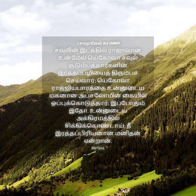 Picture 04 - 2 சாமுவேல் 16:8 TAMIRV - சவுலின் இடத்தில் - Bible Verse Picture