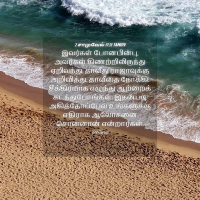 Picture 04 - 2 சாமுவேல் 17:21 TAMIRV - இவர்கள் - Bible Verse Picture