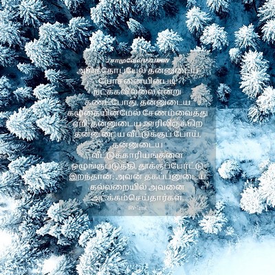 Picture 04 - 2 சாமுவேல் 17:23 TAMIRV - அகித்தோப்பேல் - Bible Verse Picture