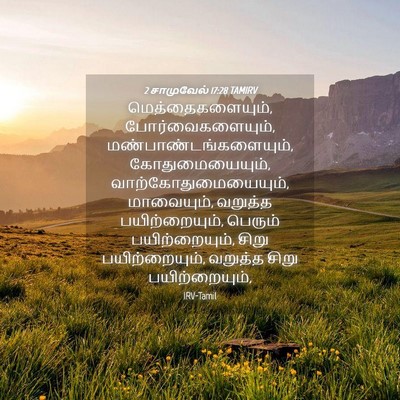Picture 04 - 2 சாமுவேல் 17:28 TAMIRV - மெத்தைகளையும், - Bible Verse Picture