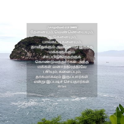 Picture 04 - 2 சாமுவேல் 17:29 TAMIRV - தேனையும், - Bible Verse Picture