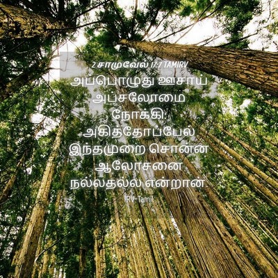 Picture 04 - 2 சாமுவேல் 17:7 TAMIRV - அப்பொழுது ஊசாய் - Bible Verse Picture