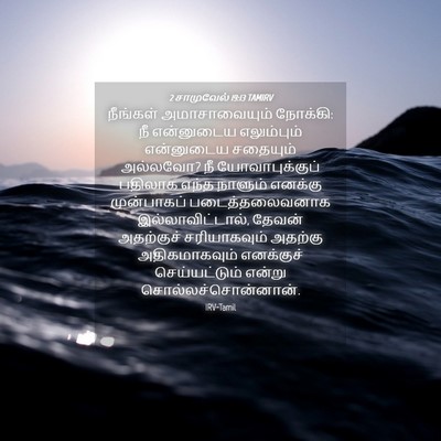 Picture 04 - 2 சாமுவேல் 19:13 TAMIRV - நீங்கள் - Bible Verse Picture