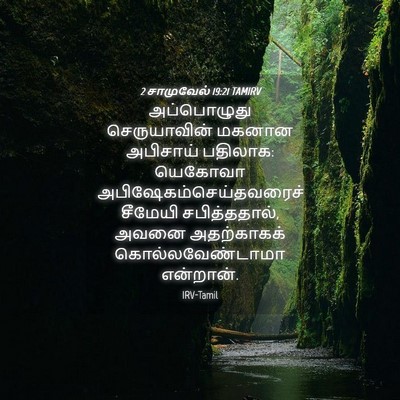 Picture 04 - 2 சாமுவேல் 19:21 TAMIRV - அப்பொழுது - Bible Verse Picture