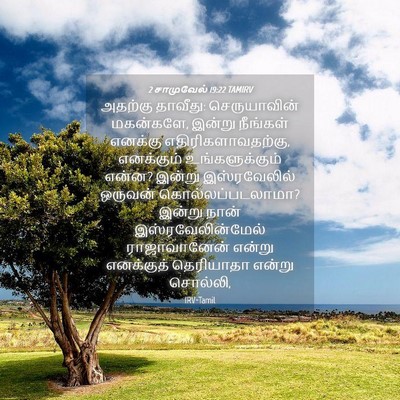 Picture 04 - 2 சாமுவேல் 19:22 TAMIRV - அதற்கு தாவீது: - Bible Verse Picture