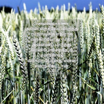 Picture 04 - 2 சாமுவேல் 19:25 TAMIRV - அவன் - Bible Verse Picture