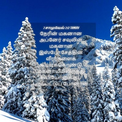 Picture 04 - 2 சாமுவேல் 2:12 TAMIRV - நேரின் மகனான - Bible Verse Picture