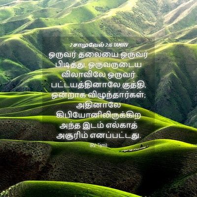 Picture 04 - 2 சாமுவேல் 2:16 TAMIRV - ஒருவர் தலையை - Bible Verse Picture