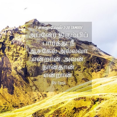 Picture 04 - 2 சாமுவேல் 2:20 TAMIRV - அப்னேர் - Bible Verse Picture
